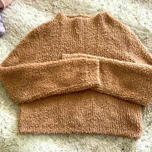 This is an aerie, high neckline, tan sweater top. It’s a size large yet cropped.